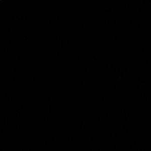 Meet your Posher, Maxi